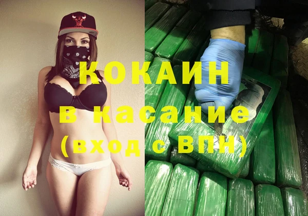 гидра Алексин